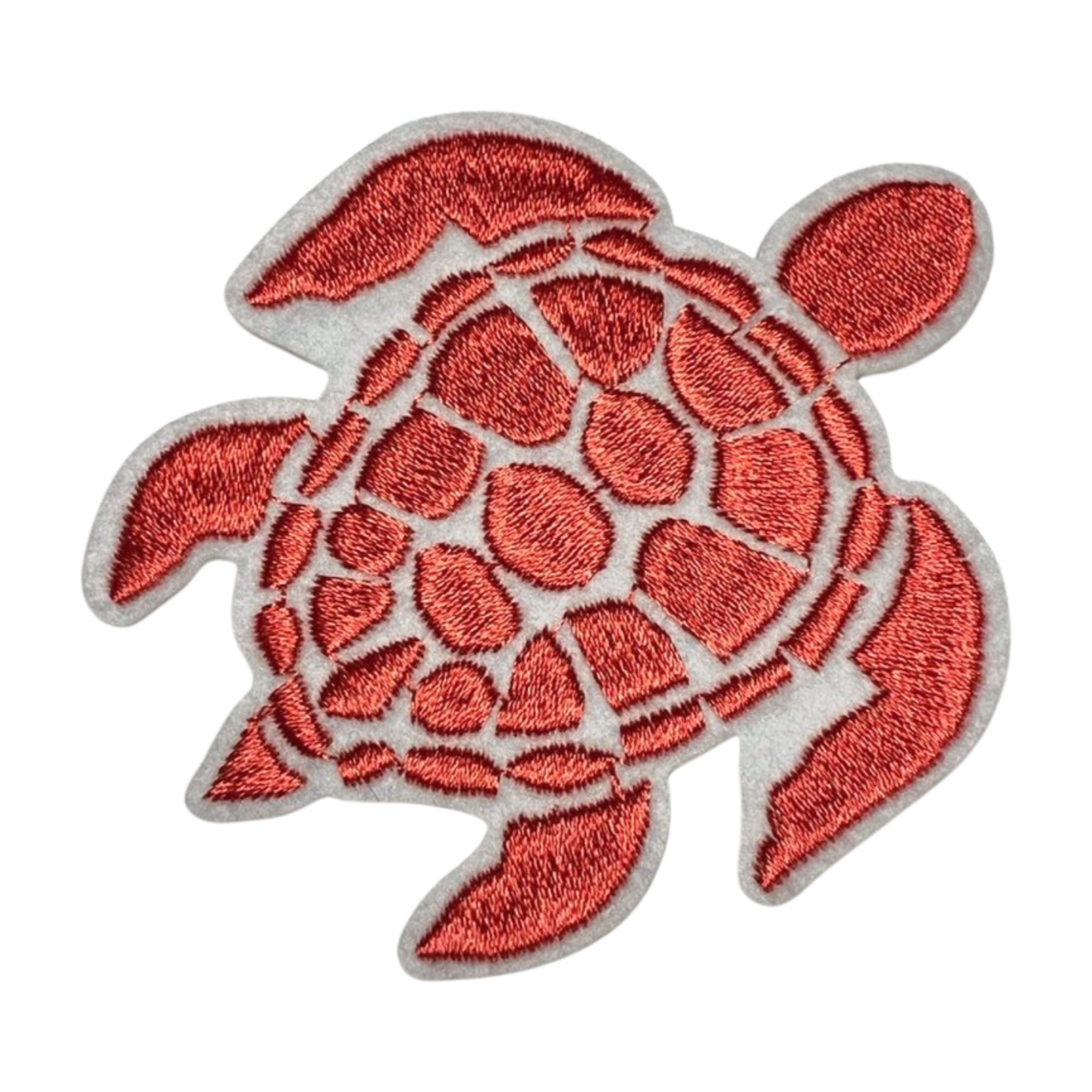 Coral Sea Turtle