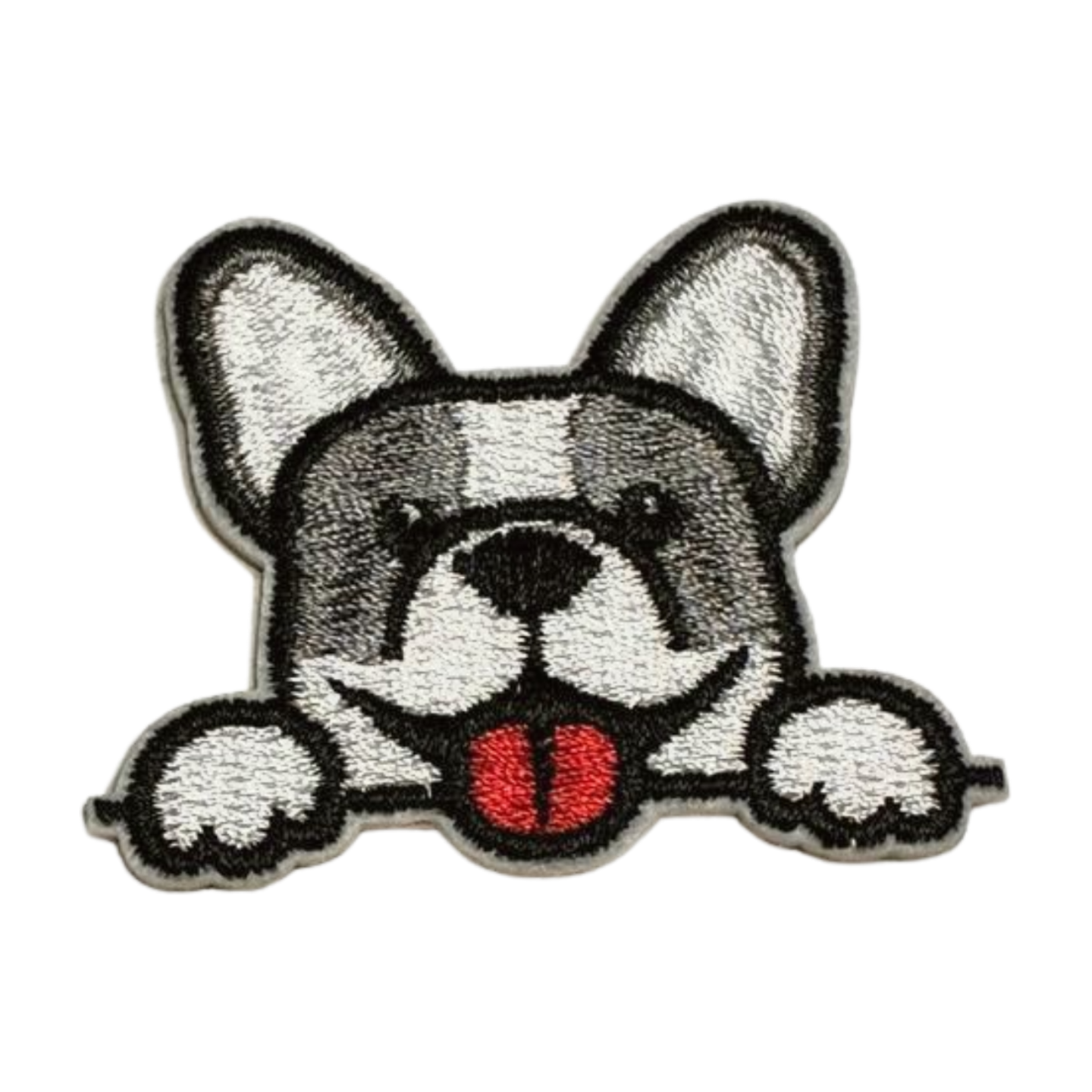 Frenchie/Boston Terrier Dog