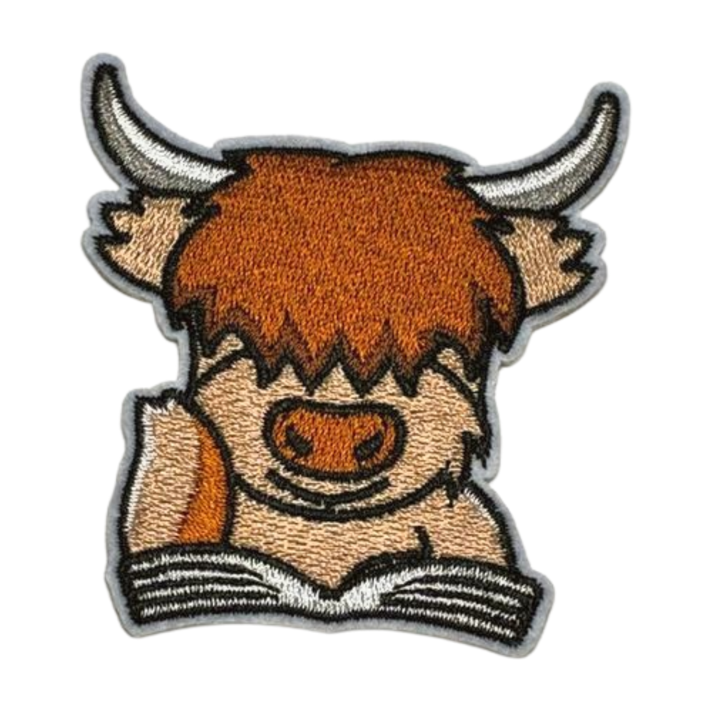 Reading Highland Cow