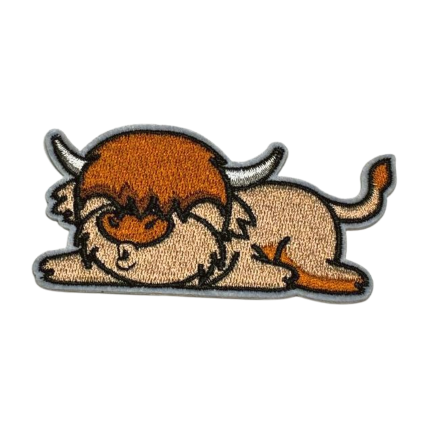 Sleeping Highland Cow